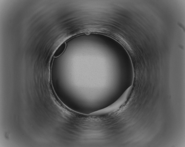 X0000091700844200708311051