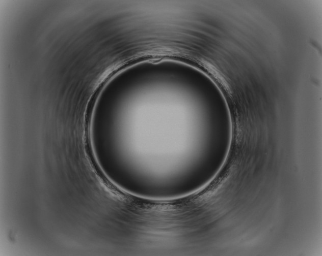 X0000091700845200708311052