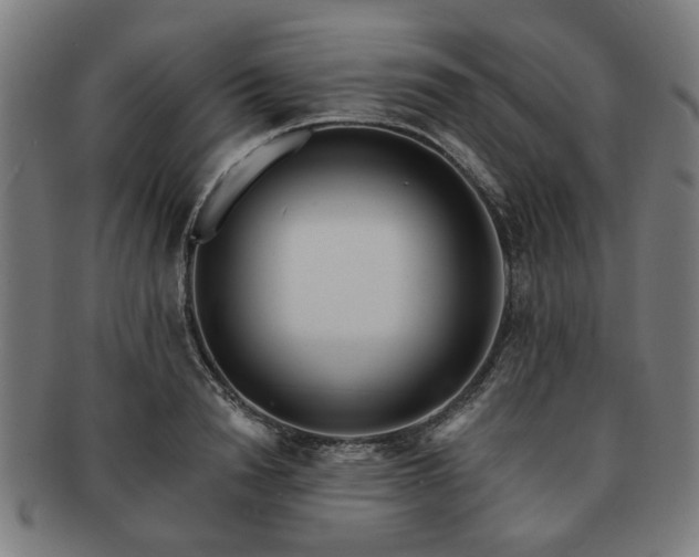 X0000091700846200708311052