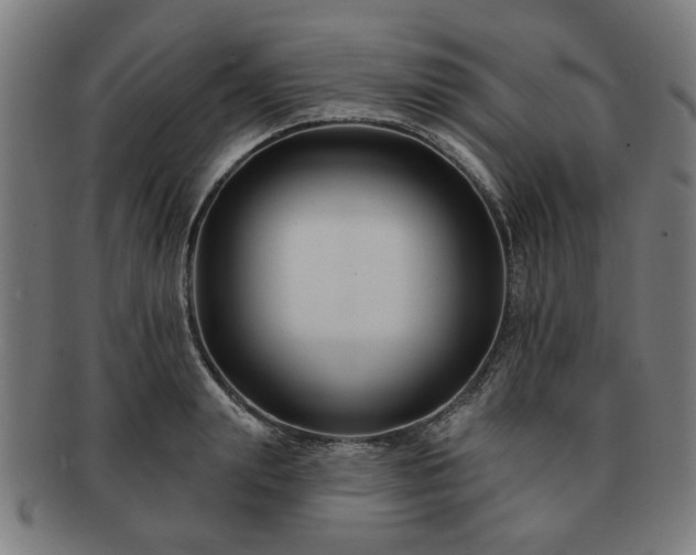 X0000091700847200708311052