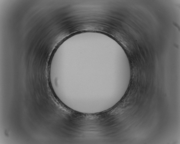 X0000091700848200708311052