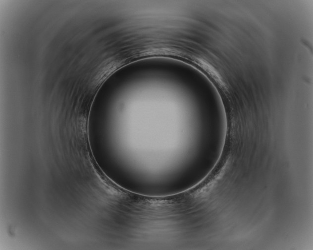 X0000091700849200708311052