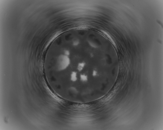 X0000091700851200708311052