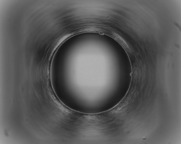 X0000091700852200708311052