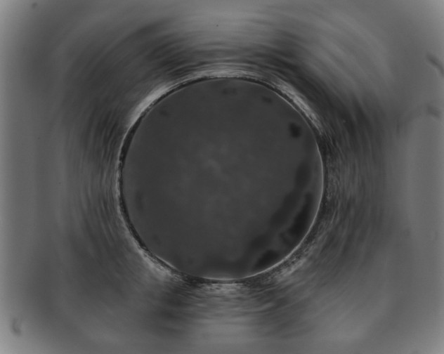 X0000091700853200708311052