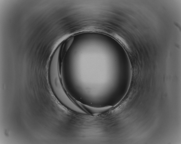 X0000091700854200708311052