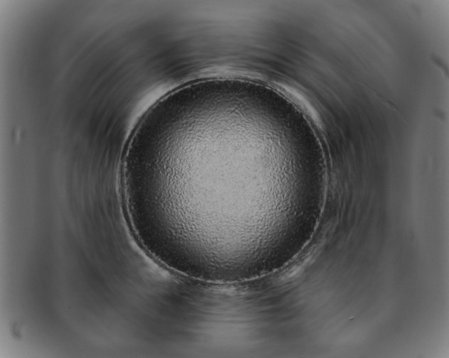 X0000091700855200708311052