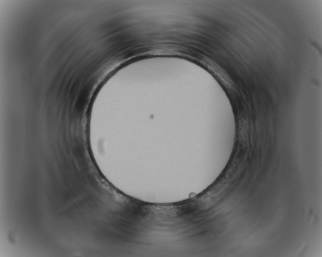 X0000091700856200708311052