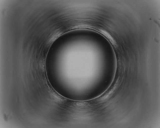 X0000091700857200708311052