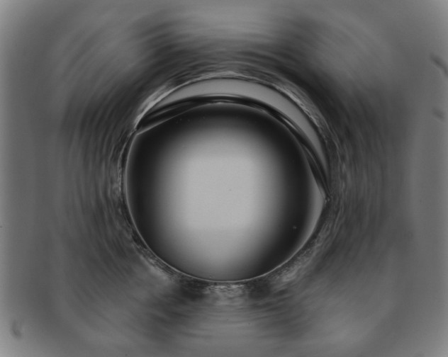 X0000091700858200708311052
