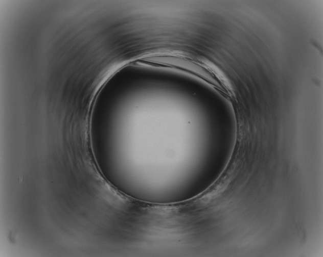X0000091700860200708311052