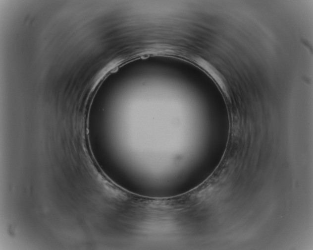 X0000091700861200708311052