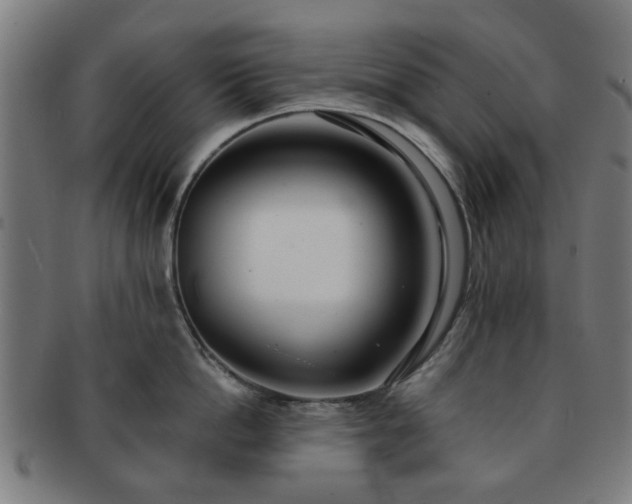 X0000091700862200708311052