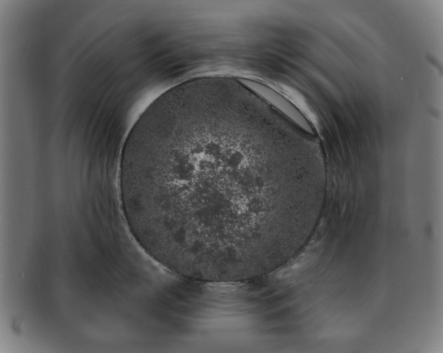 X0000091700863200708311052