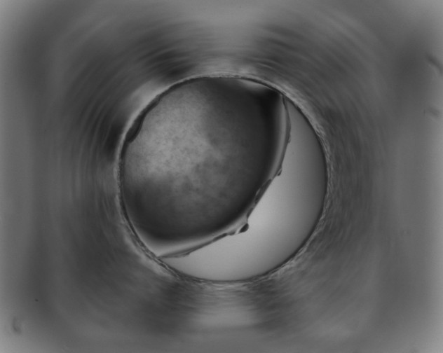 X0000091700864200708311052
