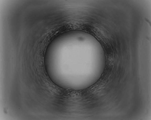 X0000091700865200708311051