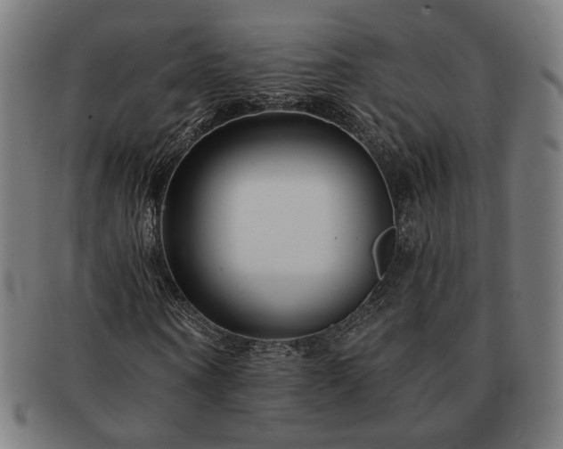 X0000091700866200708311051