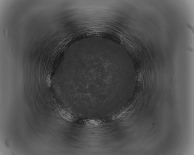 X0000091700868200708311051