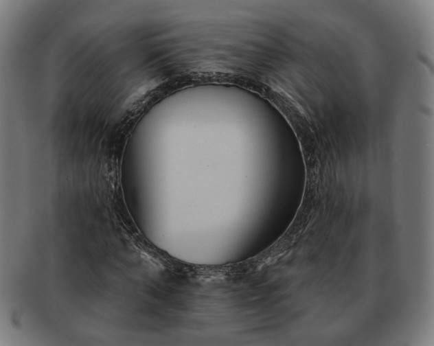 X0000091700870200708311051