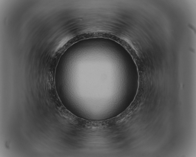 X0000091700871200708311051