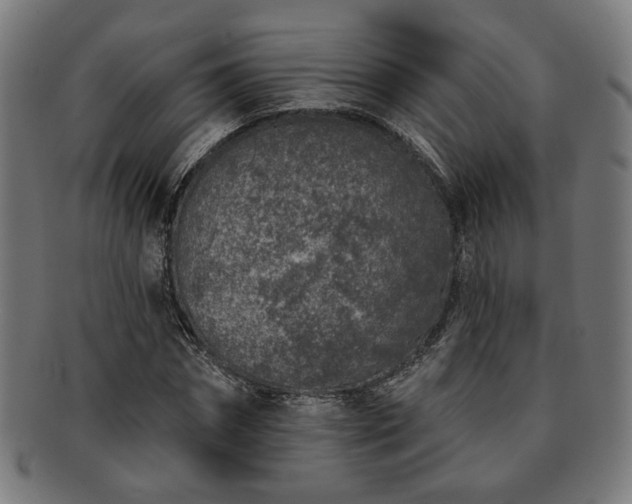 X0000091700874200708311051