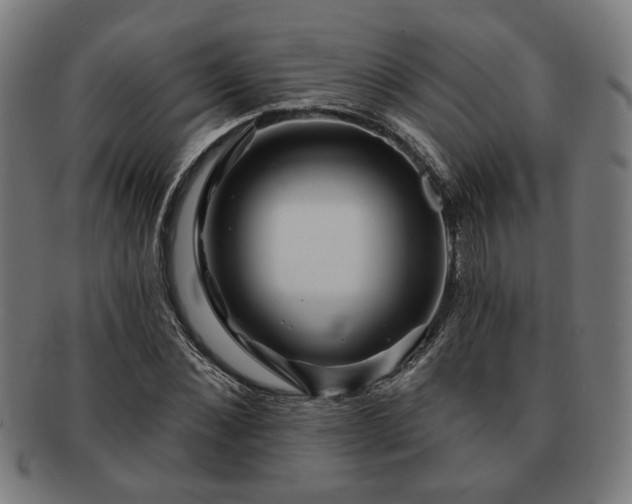 X0000091700876200708311051
