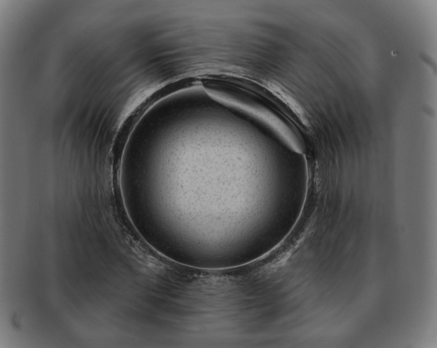 X0000091700877200708311051