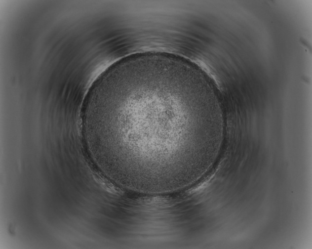 X0000091700879200708311051