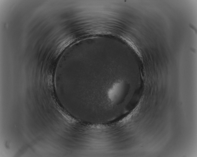 X0000091700881200708311051