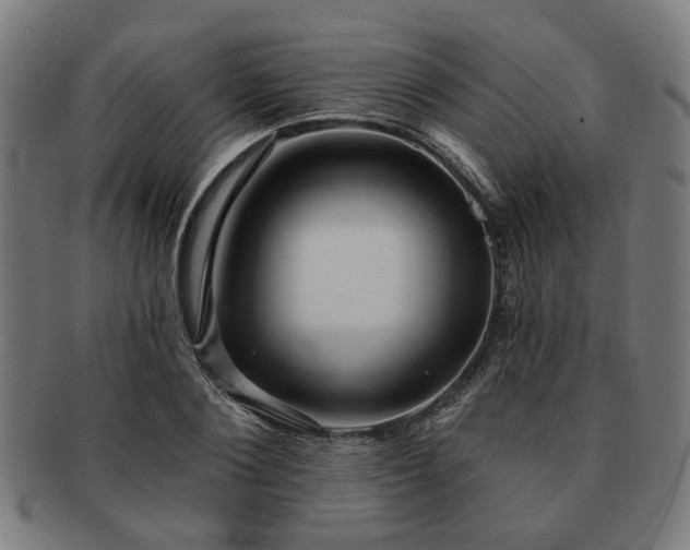 X0000091700884200708311051