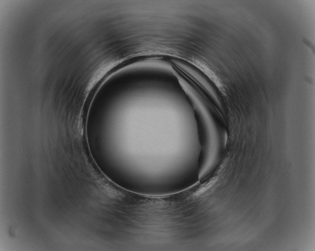 X0000091700885200708311051