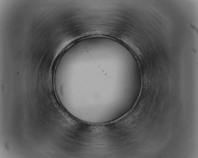 X0000091700886200708311051