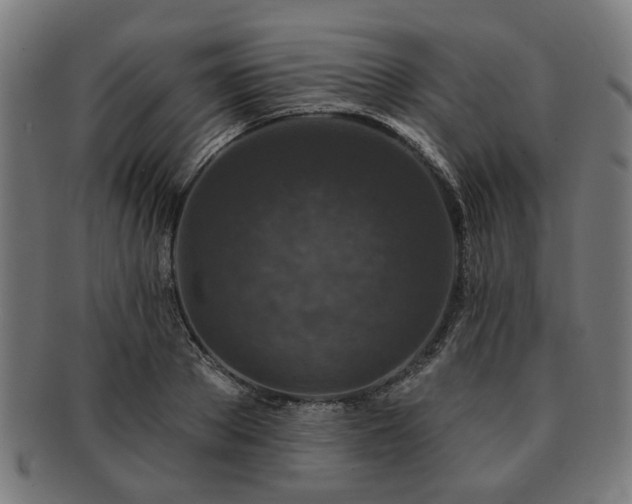X0000091700889200708311051