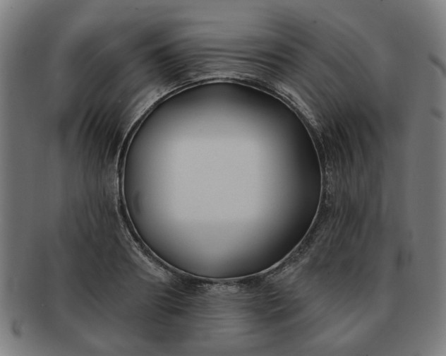 X0000091700890200708311051