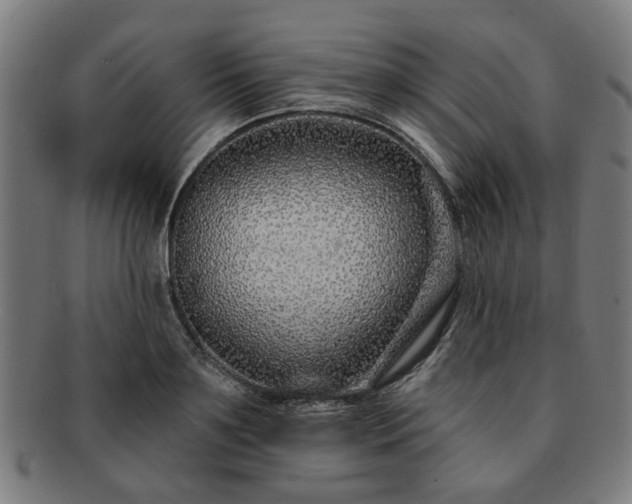 X0000091700891200708311051