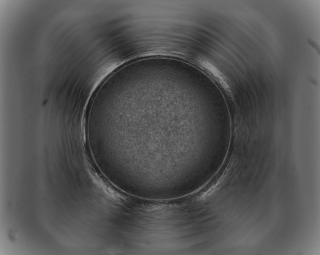 X0000091700892200708311051