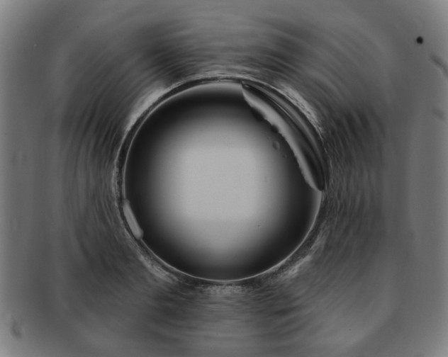 X0000091700893200708311051