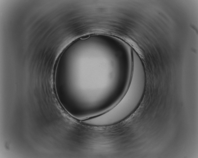 X0000091700904200708311051