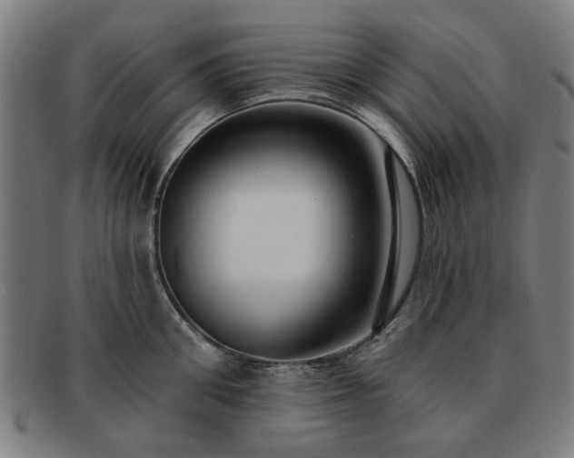 X0000091700906200708311050