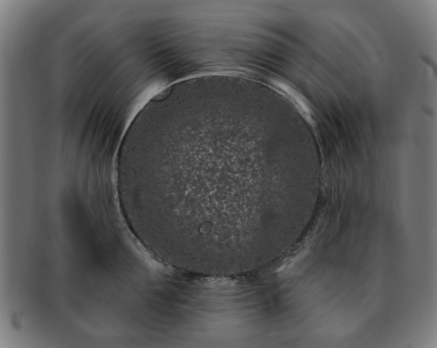 X0000091700907200708311050