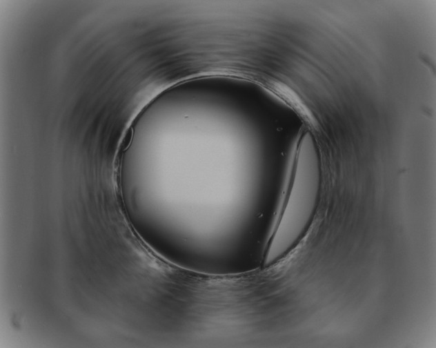 X0000091700908200708311050