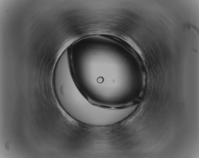 X0000091700909200708311050