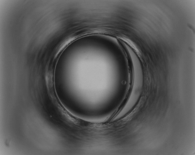 X0000091700910200708311050