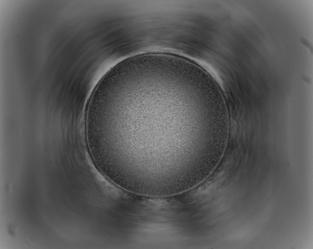 X0000091700911200708311050