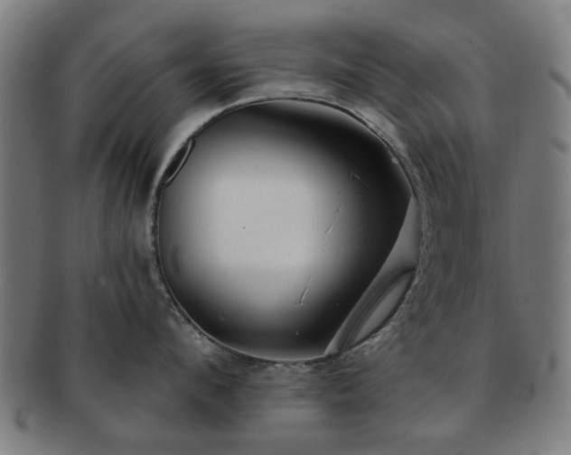 X0000091700912200708311050