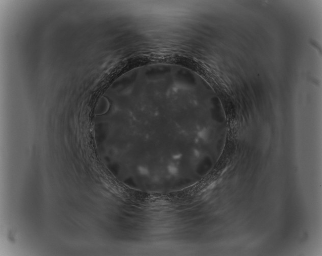 X0000091700913200708311050