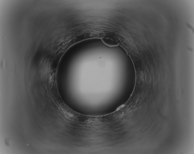 X0000091700914200708311050