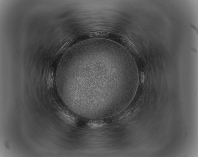 X0000091700915200708311050