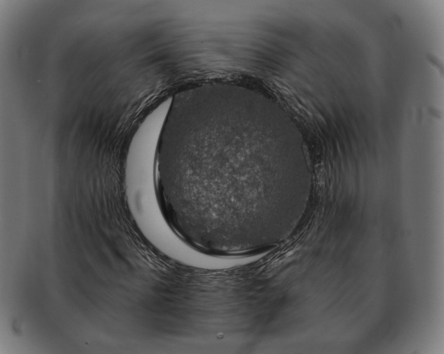 X0000091700916200708311050