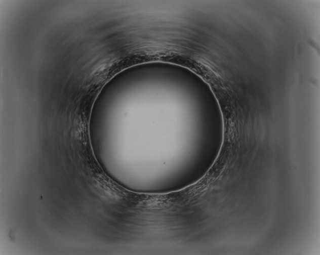 X0000091700917200708311050